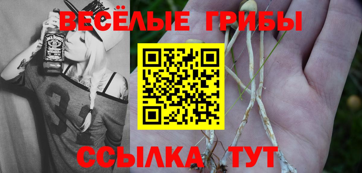 Псилоцибиновые грибы GOLDEN TEACHER Ялта