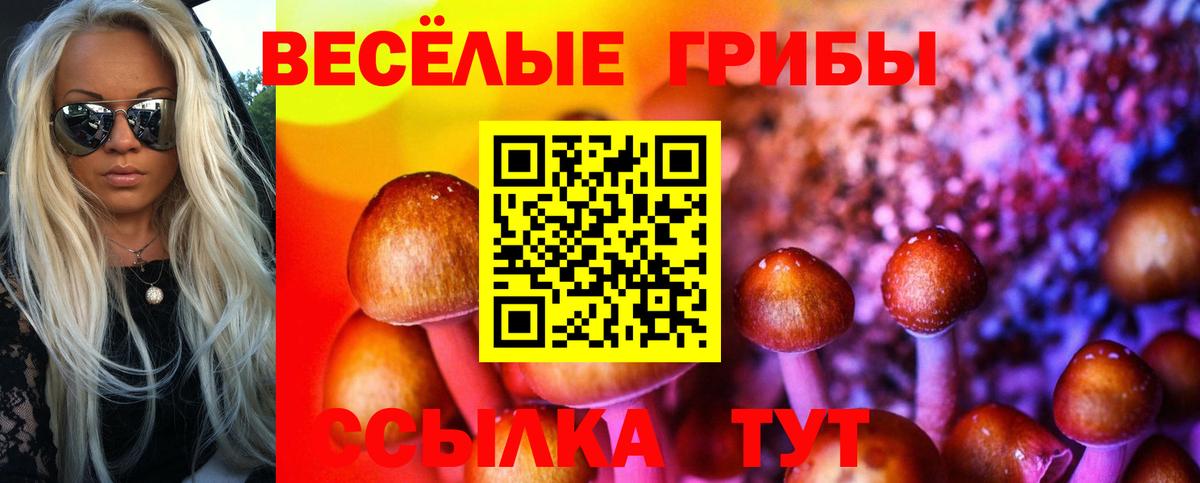 НБОМе Ялта