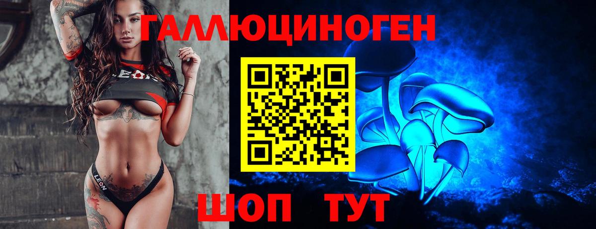где можно купить   Галлюциногенные грибы Psilocybe  Вход с VPN  Ялта 